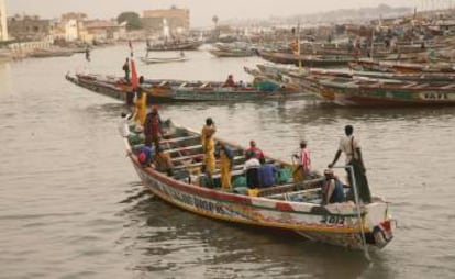 'Pirogues' en el río Senegal, en Saint Louis.