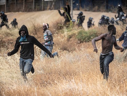 Grupos de inmigrantes, el viernes durante el salto a la valla fronteriza de Melilla.