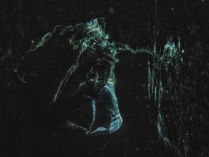 ‘Fantasmas del mar ’ (6/6)