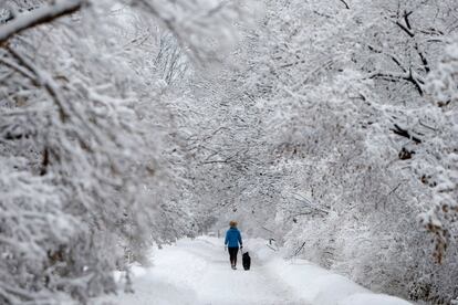 Un mujer pasea con su perro en un parque cubierto de nieve, en Ottawa (Canadá).