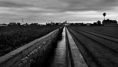 Zona de huerta en la localidad de Alboraia.