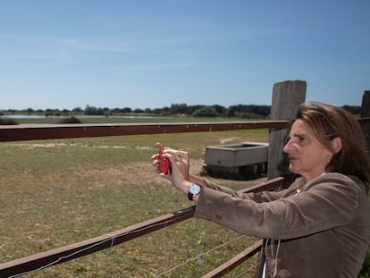 La vicepresidenta tercera y ministra para la Transición Ecológica, Teresa Ribera, junto a la marisma de el Rocío./ PACO PUENTES (ELPAIS)