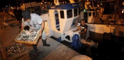 La tripulación del pesquero 'Julia', atracado en el puerto de Algeciras, carga la carnada para salir a pescar a Marruecos.
