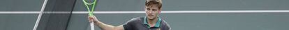 Goffin celebra una victoria en un torneo reciente.