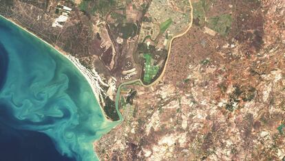 Fotografía de la desembocadura del Guadalquivir tratada por Isabel Caballero a partir de una imagen del 'Sentinel'. En ella se aprecia la turbidez generada por el estuario.