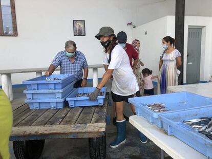 Unos pescadores venden las piezas capturadas durante la madrugada en una dársena del puerto, a escasos 10 metros de donde se encontraba el Louise Michel. |