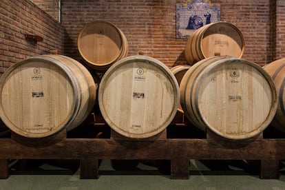 Barricas de roble francés donde fermentan los 9.000 litros que Terras Gauda destina cada año para elaborar su vino Etiqueta Negra. Los crianzas son una rareza entre los blancos.