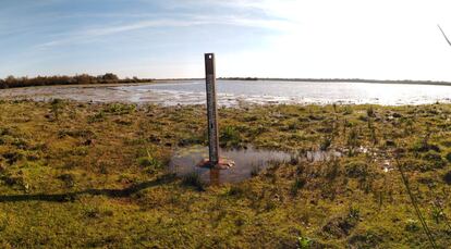 La laguna de Santa Olalla, este lunes, desde una de sus orillas. / CARMEN DÍAZ (CSIC)