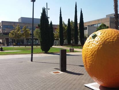 Campa&ntilde;a de #HortaAttac de la Universidad Polit&egrave;cnica de Val&egrave;ncia.