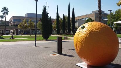 Campaña de #HortaAttac de la Universidad Politècnica de València.