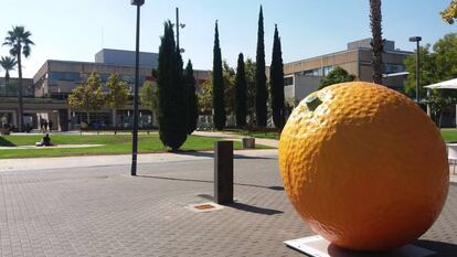 Campa&ntilde;a de #HortaAttac de la Universidad Polit&egrave;cnica de Val&egrave;ncia.