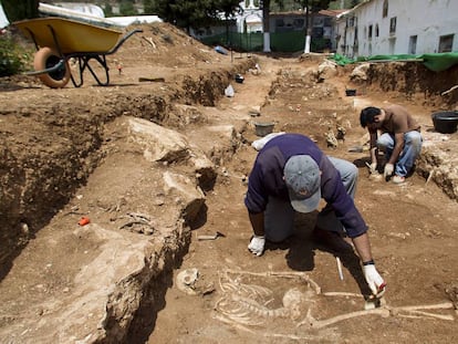 Trabajos de exhumaci&oacute;n en la fosa com&uacute;n de Teba (M&aacute;laga).