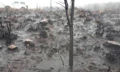 Cabeza de Meda tras uno de los incendios registrados en Galicia.