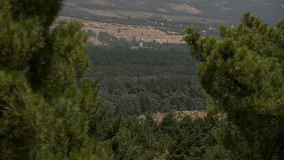 Zona del Pinar de los Belgas y el monasterio de Santa María de El Paular, en el monte Cabeza de Hierro, municipio madrileño de Rascafría.