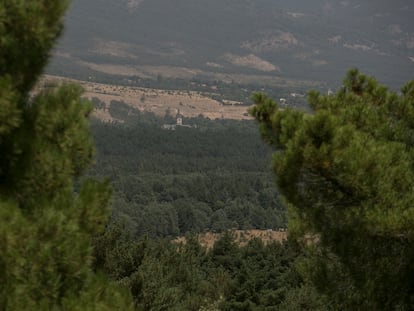 Zona del Pinar de los Belgas y el monasterio de Santa María de El Paular, en el monte Cabeza de Hierro, municipio madrileño de Rascafría.