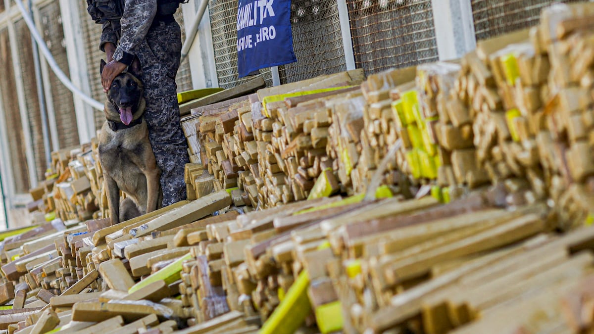 Un perro de la policía de Brasil permite el decomiso de 48 toneladas de marihuana
