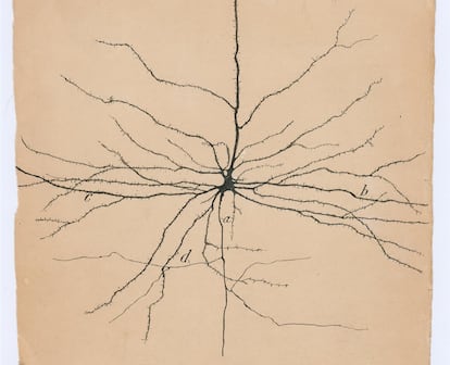 Neuron from the brain of a 30-year-old man, drawn by Cajal and published in his work 'Texture of the Nervous System'.