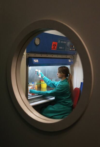 Cultivo de parasitos (leishmania) en un laboratorio de contención de nivel P2. La leishmaniasis es un conjunto de enfermedades parasitarias producidas por protozoos del género Leishmania, perteneciente a la familia de los Tripanosomátidos. Laboratorio de Parasitología Molecular. Centro de Investigaciones Biológicas (CIB). 