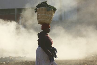 Una mujer lleva una canasta de verduras en un mercado en Harare (Zimbabwe). Muchos zimbabuenses se preparan para nuevos disturbios a finales de esta semana tras la nueva convocatoria del principal partido de la oposición a manifestaciones públicas.