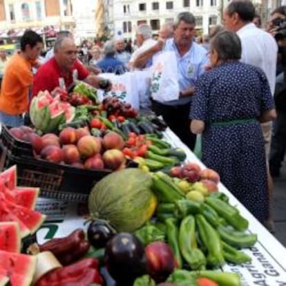 Miembros de UPA regalan fruta en el centro de Madrid.