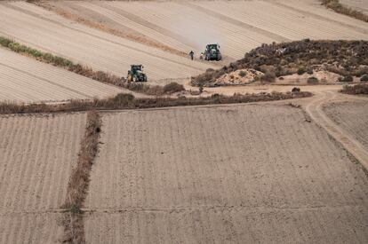 Un agricultor almeriense, en un campo afectado tras un verano con temperaturas extremas y escasez de lluvias.