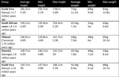 La tabla muestra la altura y peso máximo, mínimo y medio de los primeros humanos.