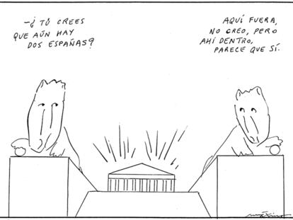 MÁXIMO