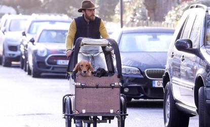 James Middleton, con sus perros por las calles de Londres.