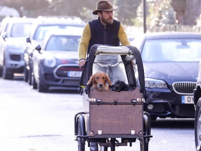 James Middleton, con sus perros por las calles de Londres.
