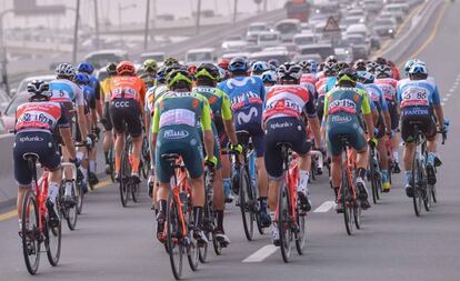 El pelotón, en el Tour de los Emiratos hace unos días. 