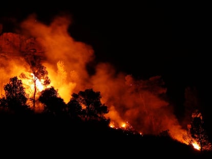 L’incendi forestal a Tarragona, en imatges