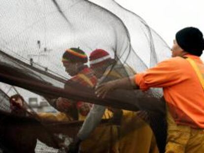 El Parlamento Europeo (PE) aprobó hoy una nueva legislación que prevé sanciones comerciales contra terceros países que permitan la sobrepesca, incluida la prohibición de importar su pescado. EFE/Archivo