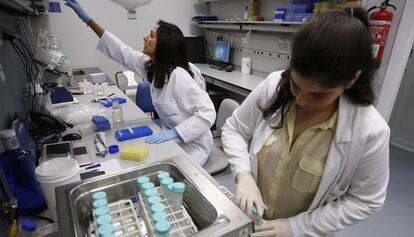 Dos técnicas en un laboratorio de una biotecnológica.