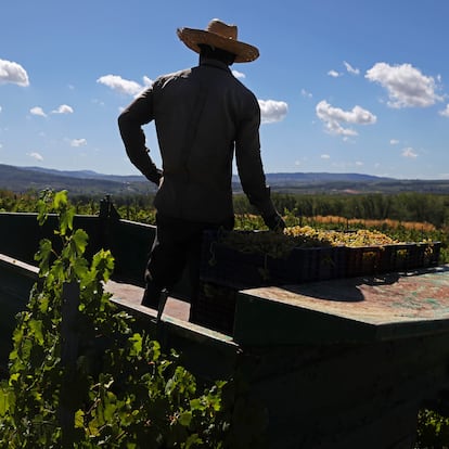 Denominaciones de origen