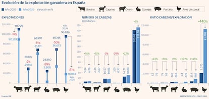 Evolución de la explotación ganadera en España