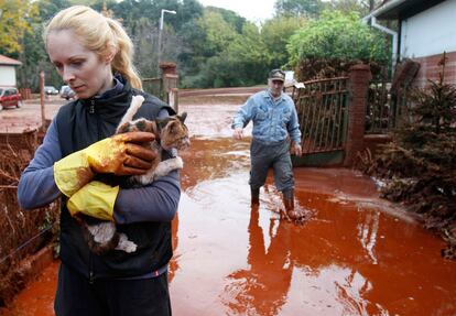 Una residente del pueblo de Devecser, al este de Budapest, rescata a un gato del vertido tóxico.