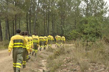 Miembros de la brigada heliotransportada de Toén (Ourense) realizan, ayer, ejercicios en el monte