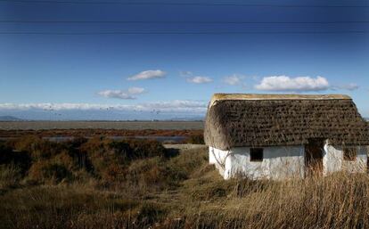 Bassa de la Tancada del Delta del Ebro, en Tarragona.