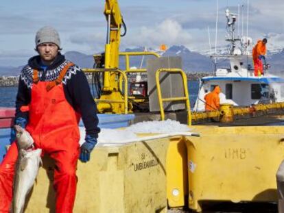 Pescadores en el puerto de Reikiavik (Islandia).