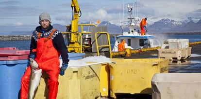 Pescadores en el puerto de Reikiavik (Islandia).