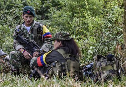 Members of the Revolutionary Armed Forces of Colombia (FARC) take a rest at a camp in the Colombian mountains on February 18, 2016. Many of these women are willing to be reunited with the children they gave birth and then left under protection of relatives or farmers, whenever the peace agreement will put an end to the country's internal conflict.    AFP PHOTO / LUIS ACOSTA