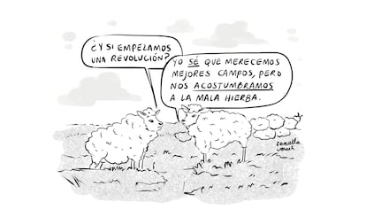 Viñeta de Daniella Martí del 16 de mayo de 2025