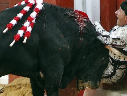 El banderillero Rafael Perea &#039;Boni&#039;, en el momento de la cogida en Gij&oacute;n.  