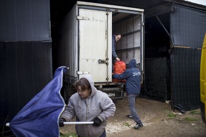 Hugo, uno de los seis trabajadores de Fruta Fea, descarga algunas zanahorias. "Cuando empezamos el proyecto en el 2013 y fuimos por las granjas intentando comprar los alimentos feos, los agricultores tenían miedo de que fuéramos policías. Algunos incluso pensaron que estábamos locos", dice Hugo sonriendo.