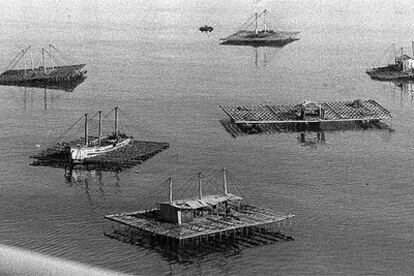 Bateas dedicadas a la producción de mejillones en las costas de Galicia.