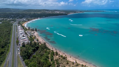 Un desarrollo turístico construido junto al humedal Monserrate, un área natural protegina de Luquillo, Puerto Rico. En abril de 2024.