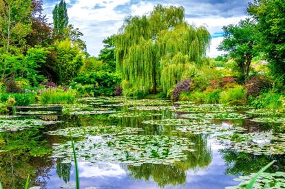 Podría decirse que Claude Monet creaba dos veces. Primero como agricultor, cultivando con primor nenúfares, juncos, lirios. Y, después, como pintor, inmortalizándolos en un lienzo. Su gran modelo y fuente de inspiración fueron <a href="https://giverny.es/los-jardines-de-claude-monet/" target="_blank">los dos jardines que diseñó en Giverny</a>, en la región de Normandía (Francia), donde se trasladó con su familia en 1883. Ideó un jardín de flores, Les Clos Normand, delante de su casa, ordenado por colores, con árboles frutales, rosales trepadores, malvarrosas. Diez años después compró el terreno vecino, atravesado por un arroyo, y construyó el jardín de agua, con su famoso puente japones cubierto de glicinias.