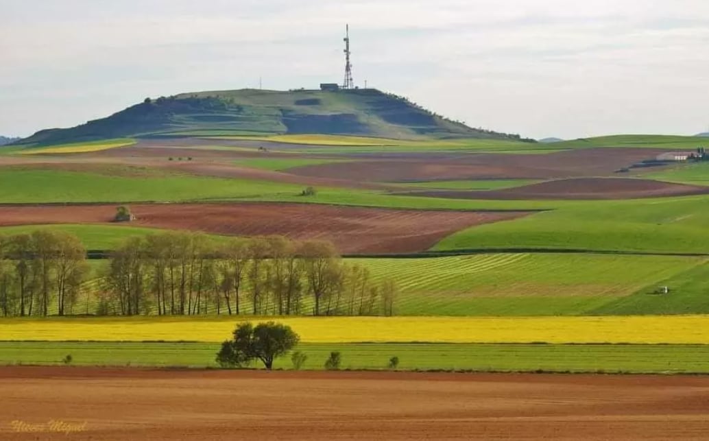 Cerro de El Viso bajo el que se encuentra la ciudad vaccea de Bamba.
