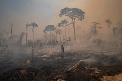 O fogo consumiu a floresta nos arredores de Novo Progresso, no Pará, em 23 de agosto.