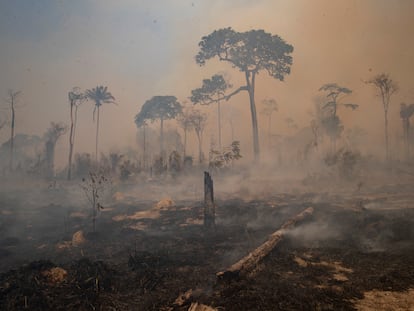 Depois de degradadas, as porções remanescentes de floresta ficam ainda mais expostas a incêndios, como o ocorrido próximo a Novo Progresso, no Pará, em agosto passado.